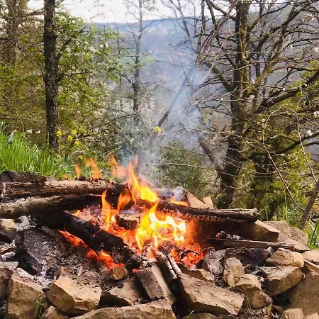 La Foret Du Dragon - Tipi