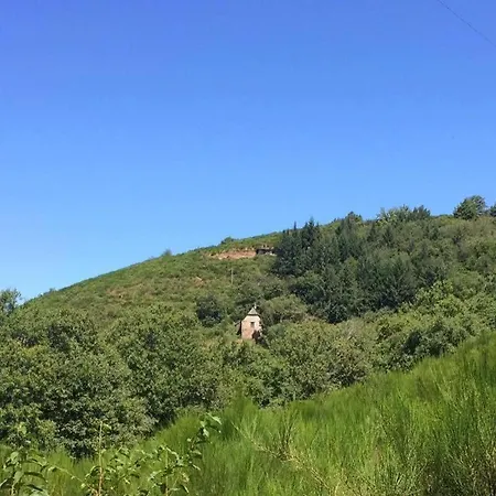 La Foret Du Dragon - Tipi *